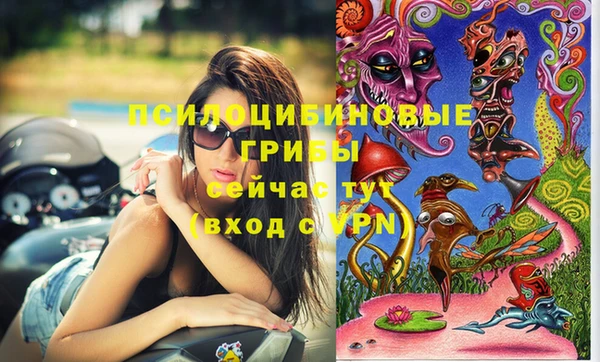 метадон Кодинск