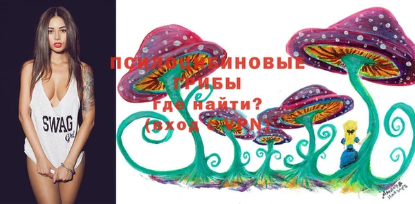 метадон Кодинск