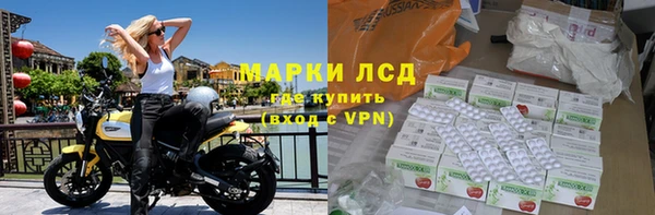 СК Козловка